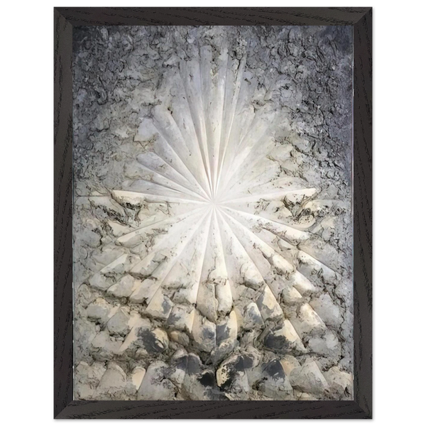 Jay DeFeo/BIG/The Rose by Jay DeFeo — Framed art print at Zephyeer