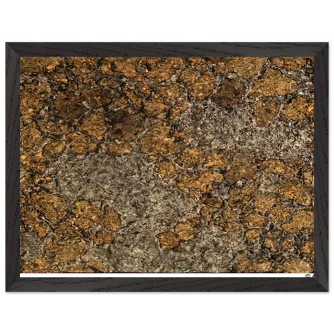 LIFE WITHOUT THE MAN III by Jean Dubuffet — Framed art print at Zephyeer