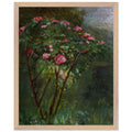 ROSE BUSH IN FLOWER by Gustave Caillebotte — Framed art print at Zephyeer