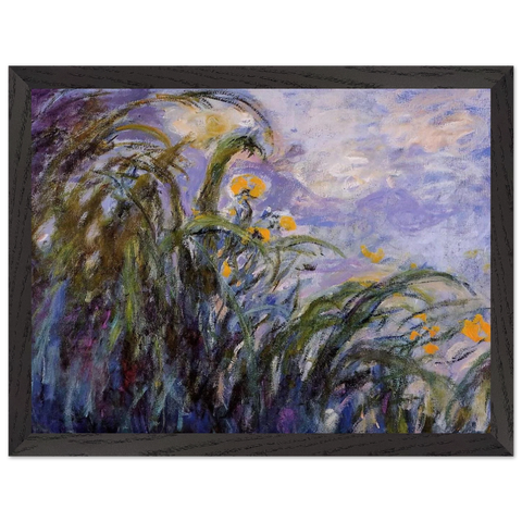 Yellow Irises by Claude Monet — Framed art print at Zephyeer