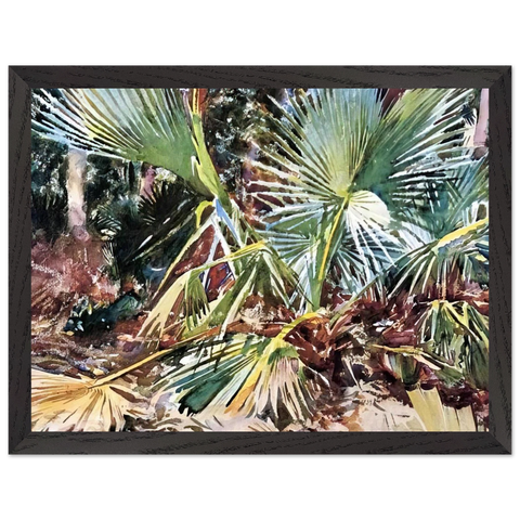 Palmettos, Florida by John Singer Sargent — Framed art print at Zephyeer