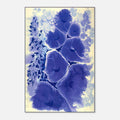 2d5816a4-9db7-402c-a9e3-541d96541665