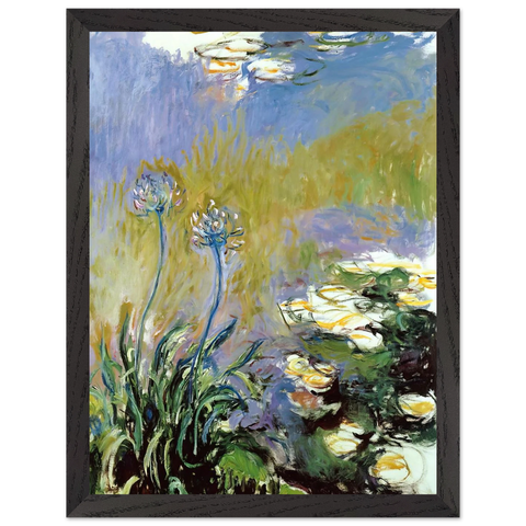 Agapanthus by Claude Monet — Framed art print at Zephyeer