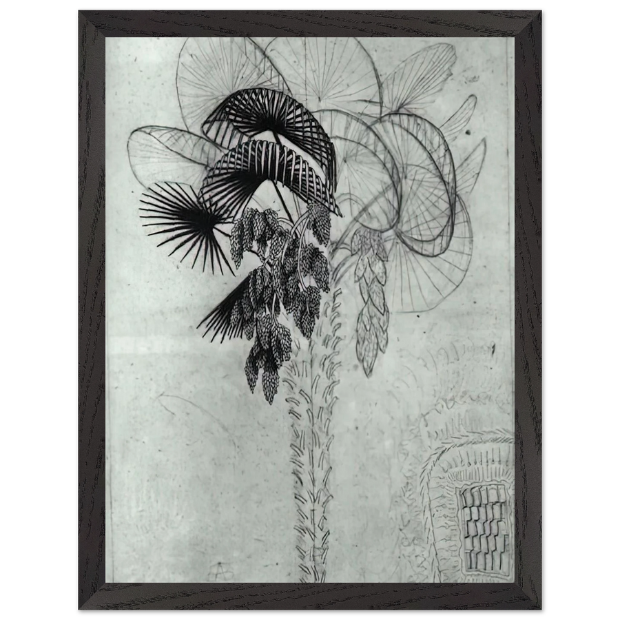 PALM TREE SKETCH by MC Escher — Framed art print at Zephyeer