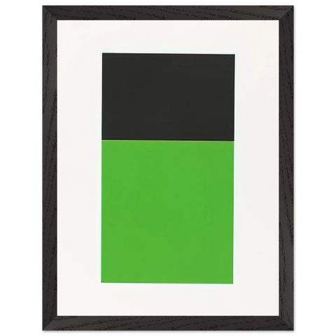 Black-Green from the Series of Ten Lithographs by Ellsworth Kelly — Framed art print at Zephyeer