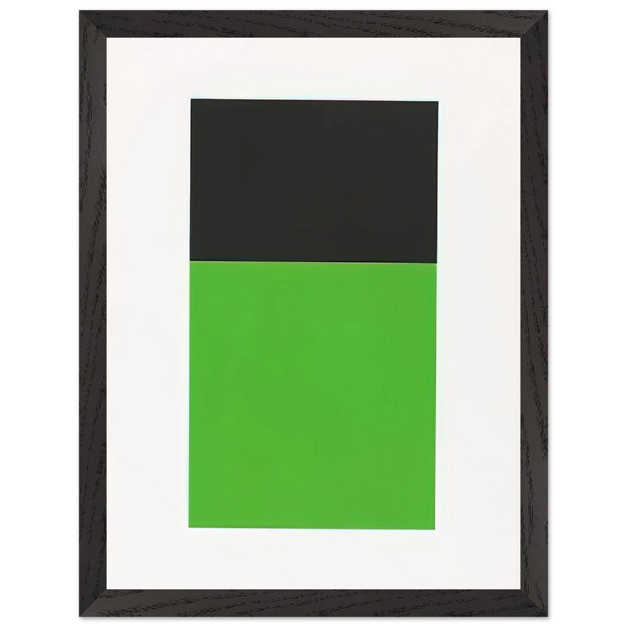 Black-Green from the Series of Ten Lithographs by Ellsworth Kelly — Framed art print at Zephyeer