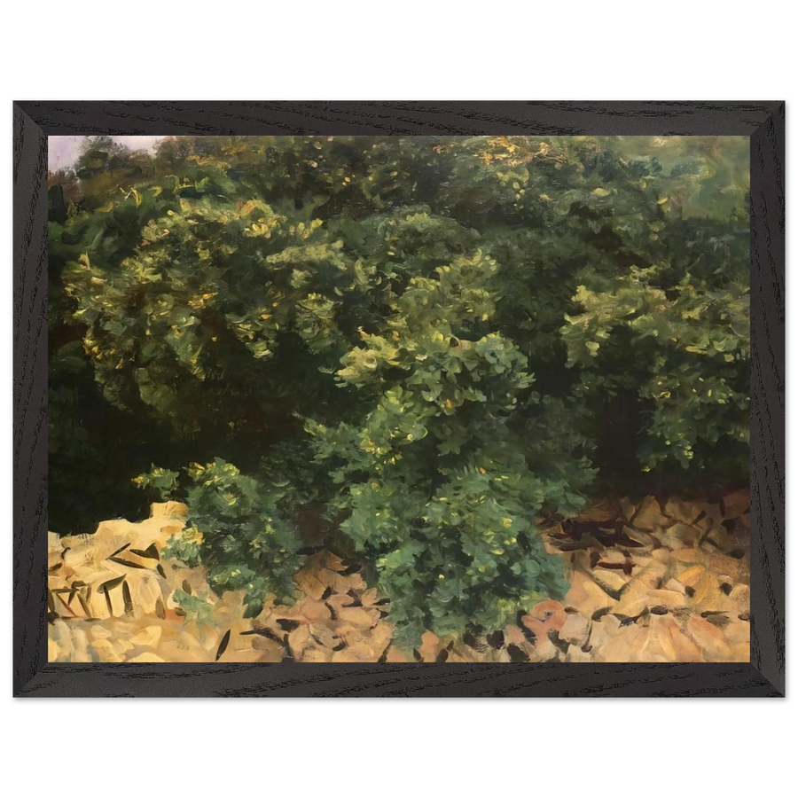 Ilex Wood, Majorca by John Singer Sargent — Framed art print at Zephyeer