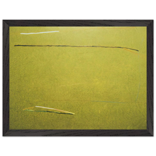 Green Mountain Man - 1975 by Ronnie Landfield — Framed art print at Zephyeer