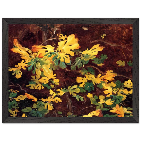 Study of a Fig Tree by John Singer Sargent — Framed art print at Zephyeer