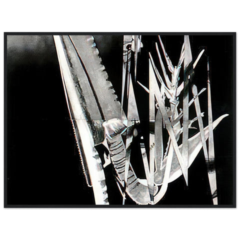 34214cd3-eafe-4bd1-ad14-59da5ecde294