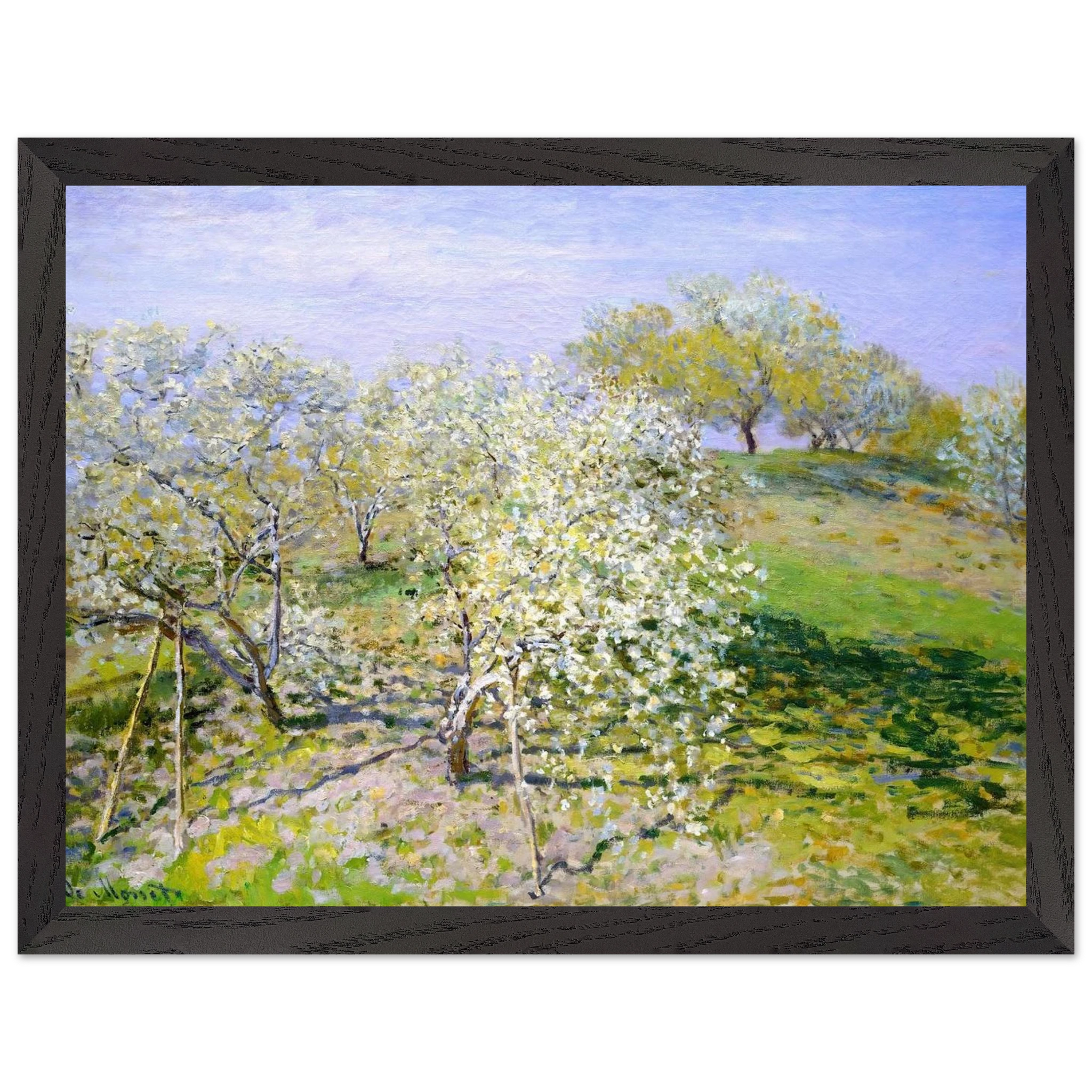 3427d6b5-eac2-4e2d-9386-07ec4788b3fe