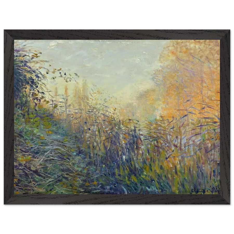 Study Rushes at Argenteuil by Claude Monet — Framed art print at Zephyeer