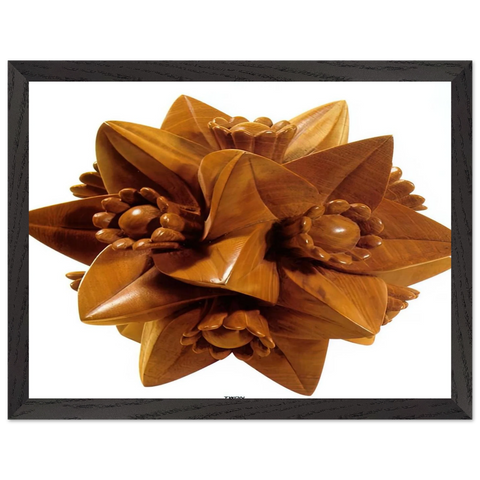 POLYHEDRON WITH FLOWERS by MC Escher — Framed art print at Zephyeer