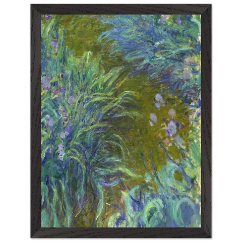 Path through the Irises 02 by Claude Monet — Framed art print at Zephyeer
