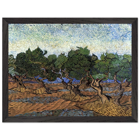 Olive Grove by Vincent van Gogh — Framed art print at Zephyeer
