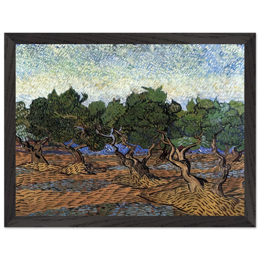Olive Grove by Vincent van Gogh — Framed art print at Zephyeer