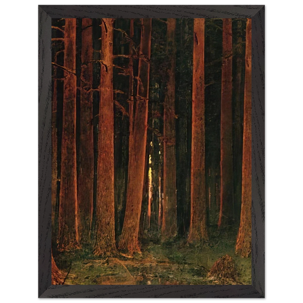 381d326c-65a2-4d4f-9c62-22cb95a1c6d5