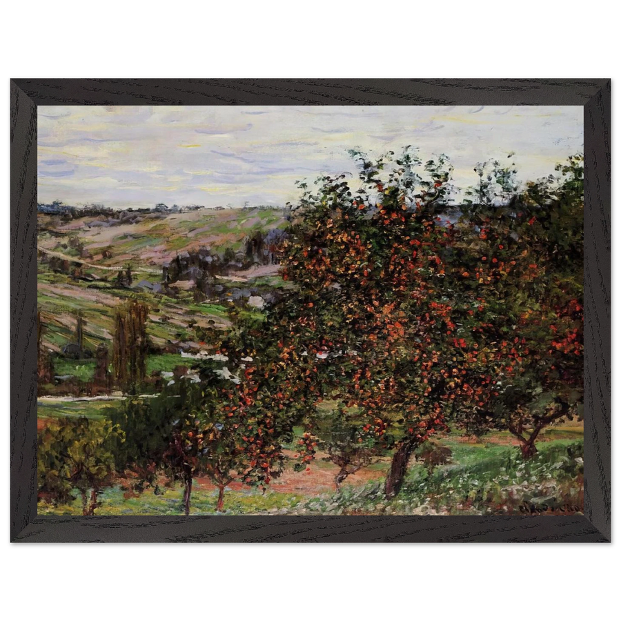 Apple Trees near Vetheuil by Claude Monet — Framed art print at Zephyeer