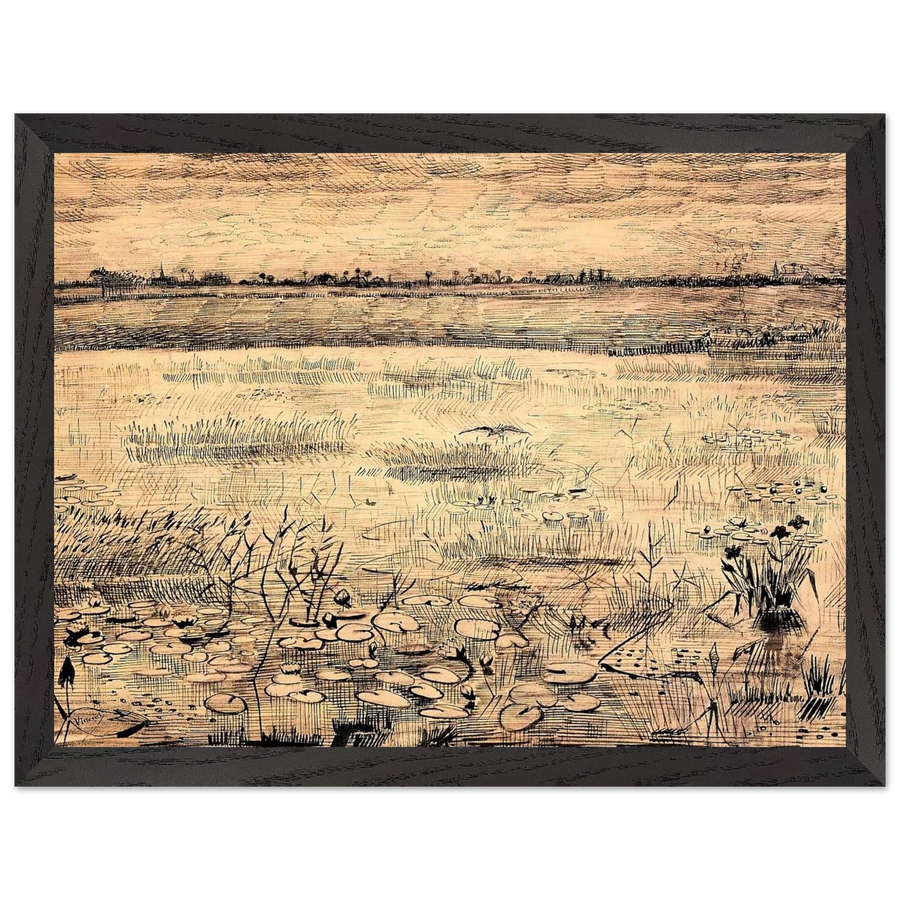 Marsh with Water Lillies by Vincent van Gogh — Framed art print at Zephyeer