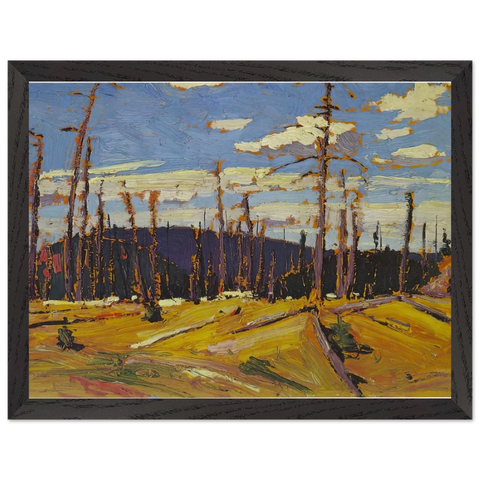 BURNT OVER FOREST 1916 by Tom Thomson — Framed art print at Zephyeer