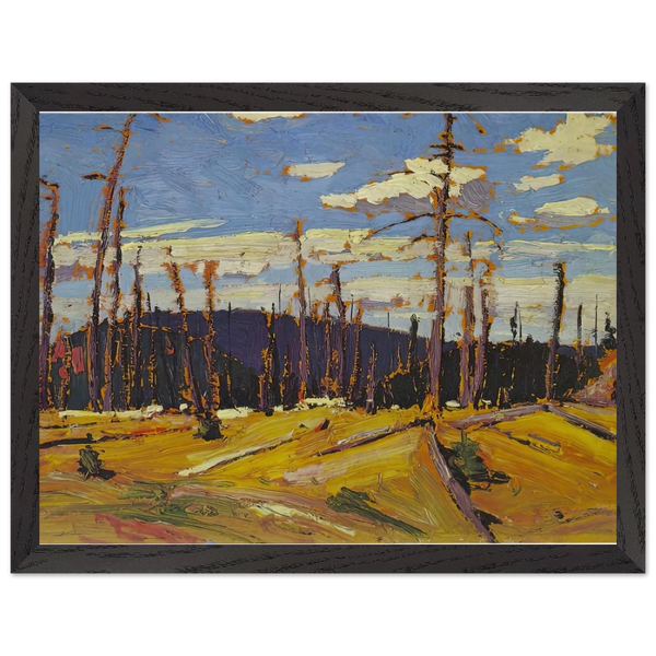 BURNT OVER FOREST 1916 by Tom Thomson — Framed art print at Zephyeer