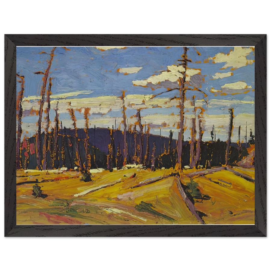 BURNT OVER FOREST 1916 by Tom Thomson — Framed art print at Zephyeer