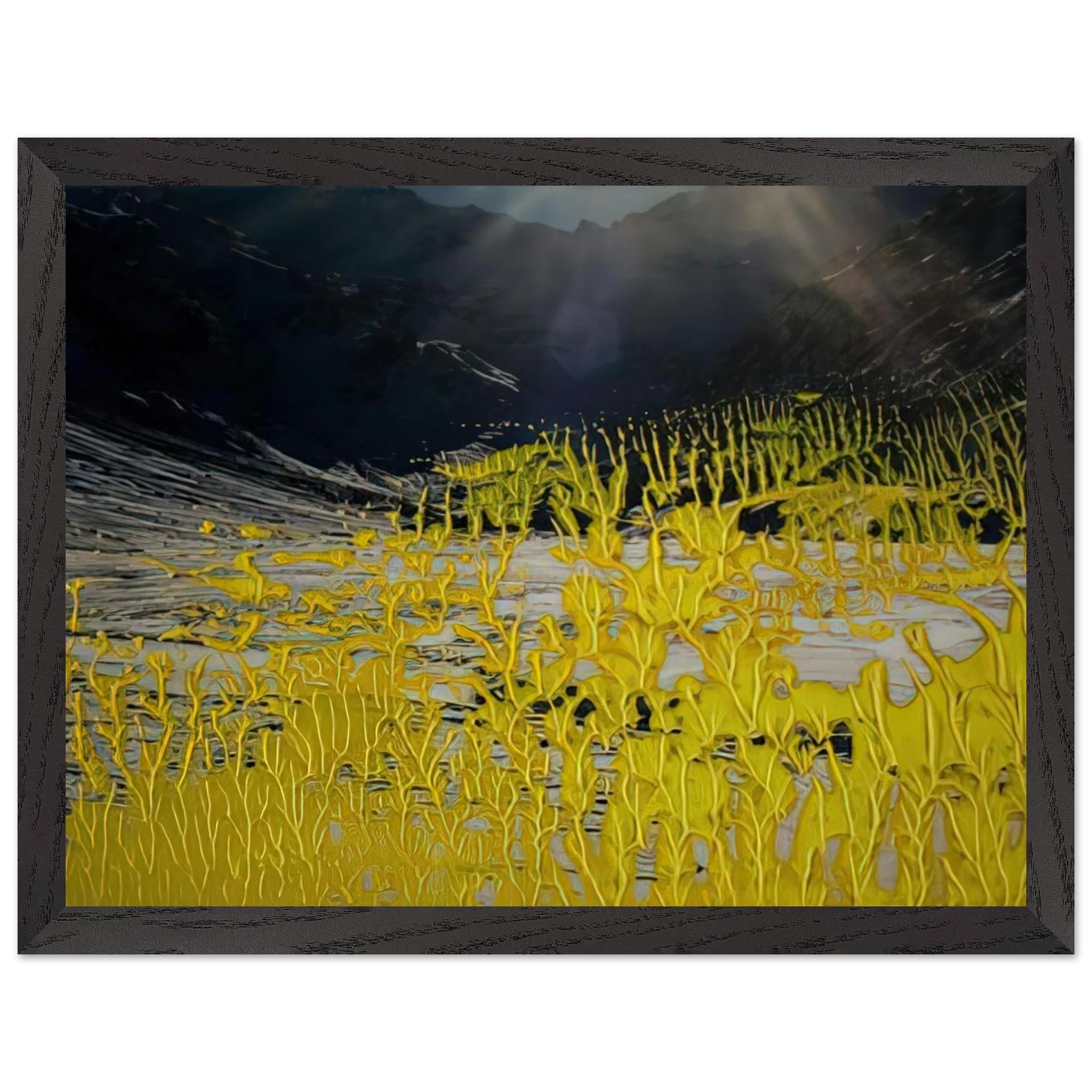 4370408b-270c-4951-afe5-a1c7679de432