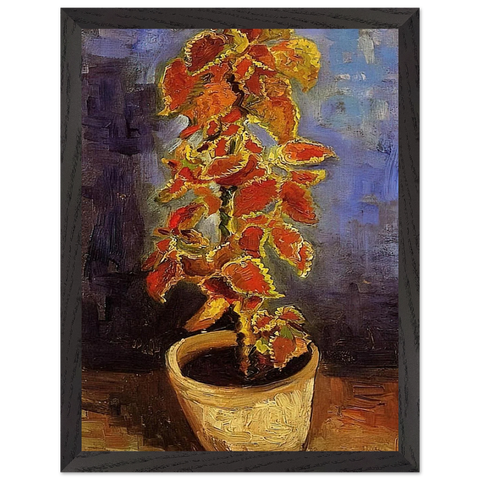 Coleus Plant in a Flowerpot by Vincent van Gogh — Framed art print at Zephyeer
