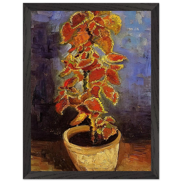 4b0e4916-40d1-433c-8aba-7f78cad89229