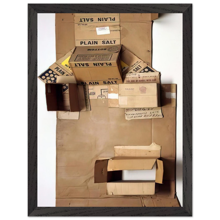 PLAIN SALT CARDBOARD 1971 by Robert Rauschenberg — Framed art print at Zephyeer