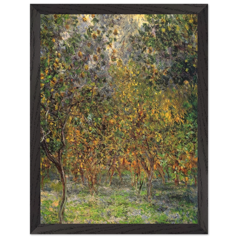 Under the Lemon Trees by Claude Monet — Framed art print at Zephyeer
