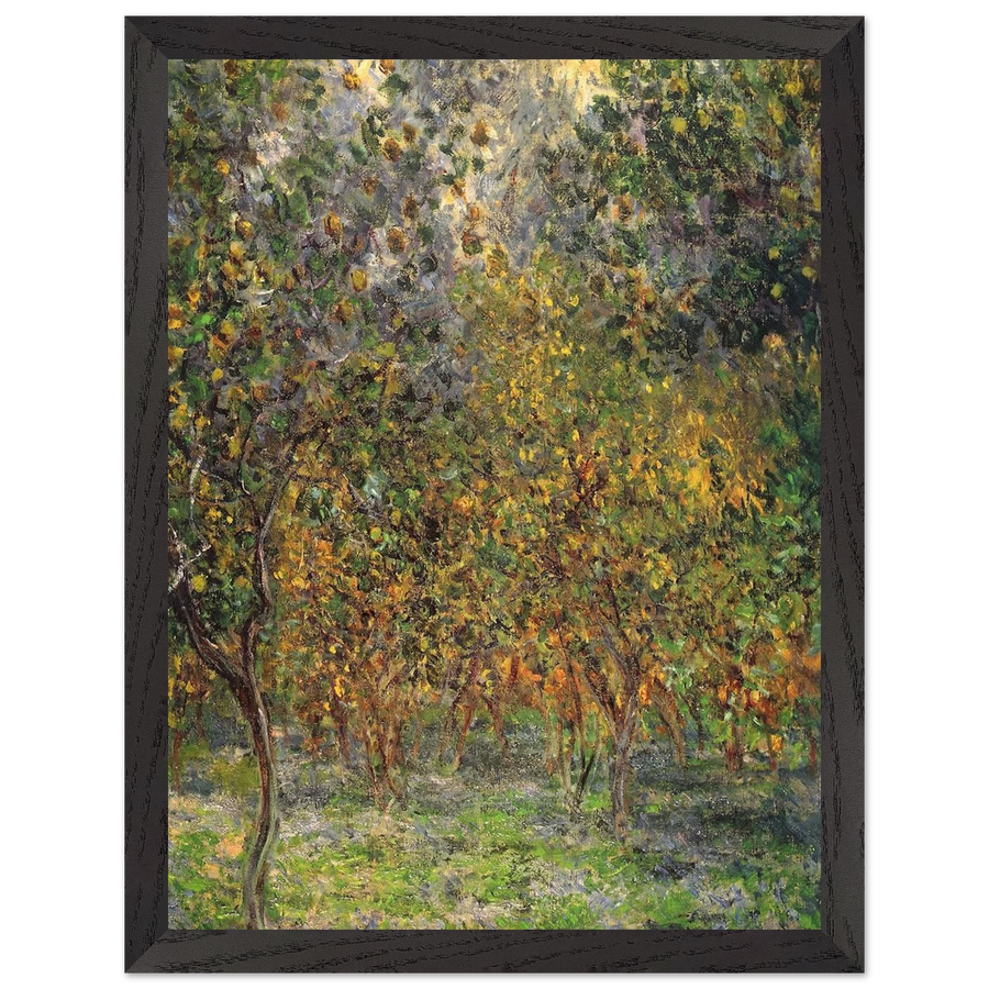 Under the Lemon Trees by Claude Monet — Framed art print at Zephyeer