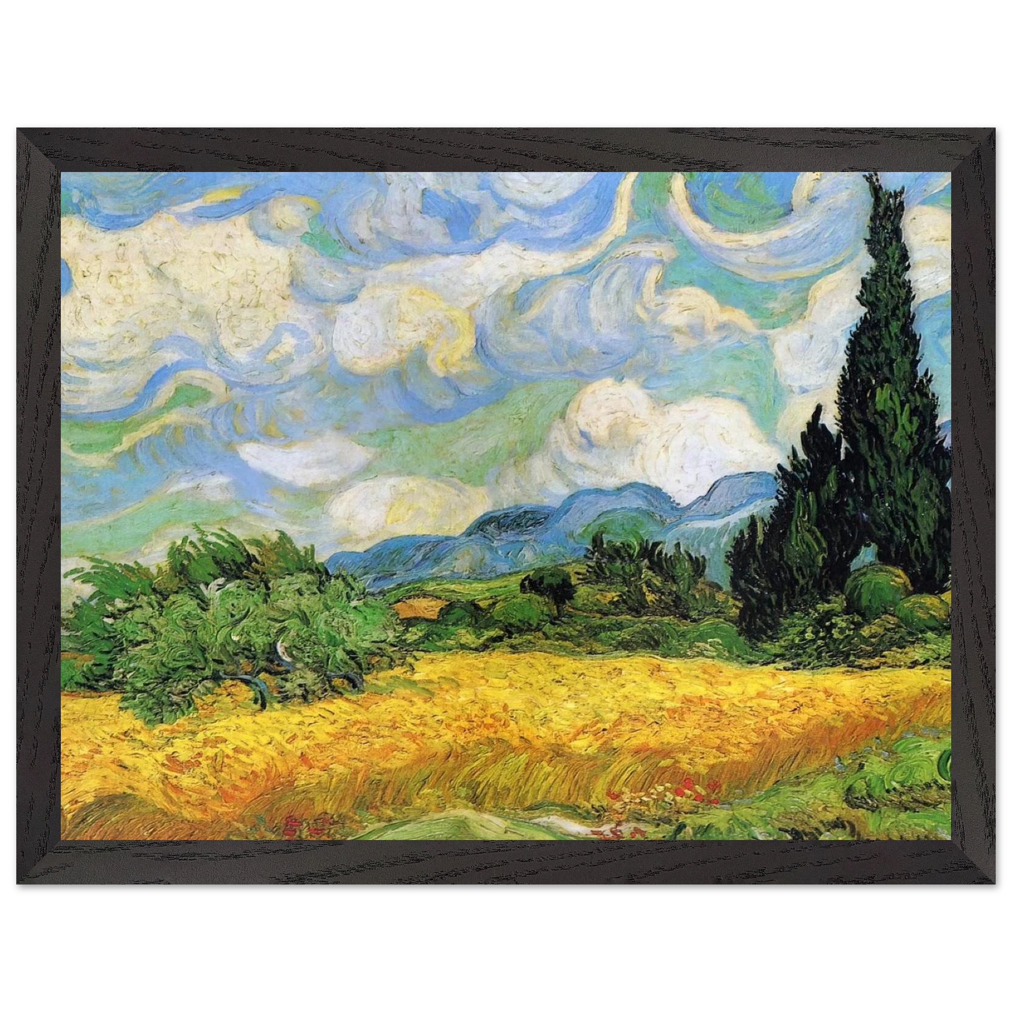 513915d4-8af1-4c3f-ba08-cfa7a4537da8