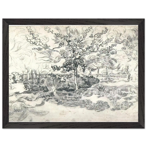 Garden of the Asylum by Vincent van Gogh — Framed art print at Zephyeer