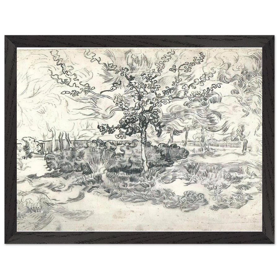 Garden of the Asylum by Vincent van Gogh — Framed art print at Zephyeer