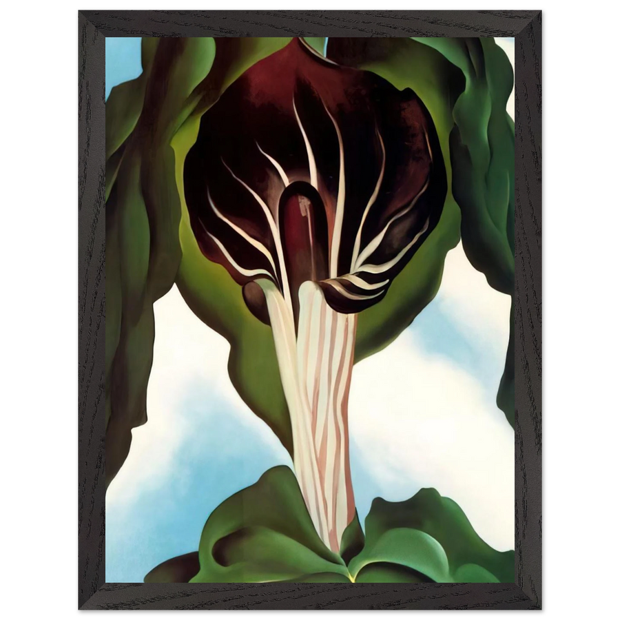 Jack-in-the-Pulpit III by Georgia O'Keeffe — Framed art print at Zephyeer