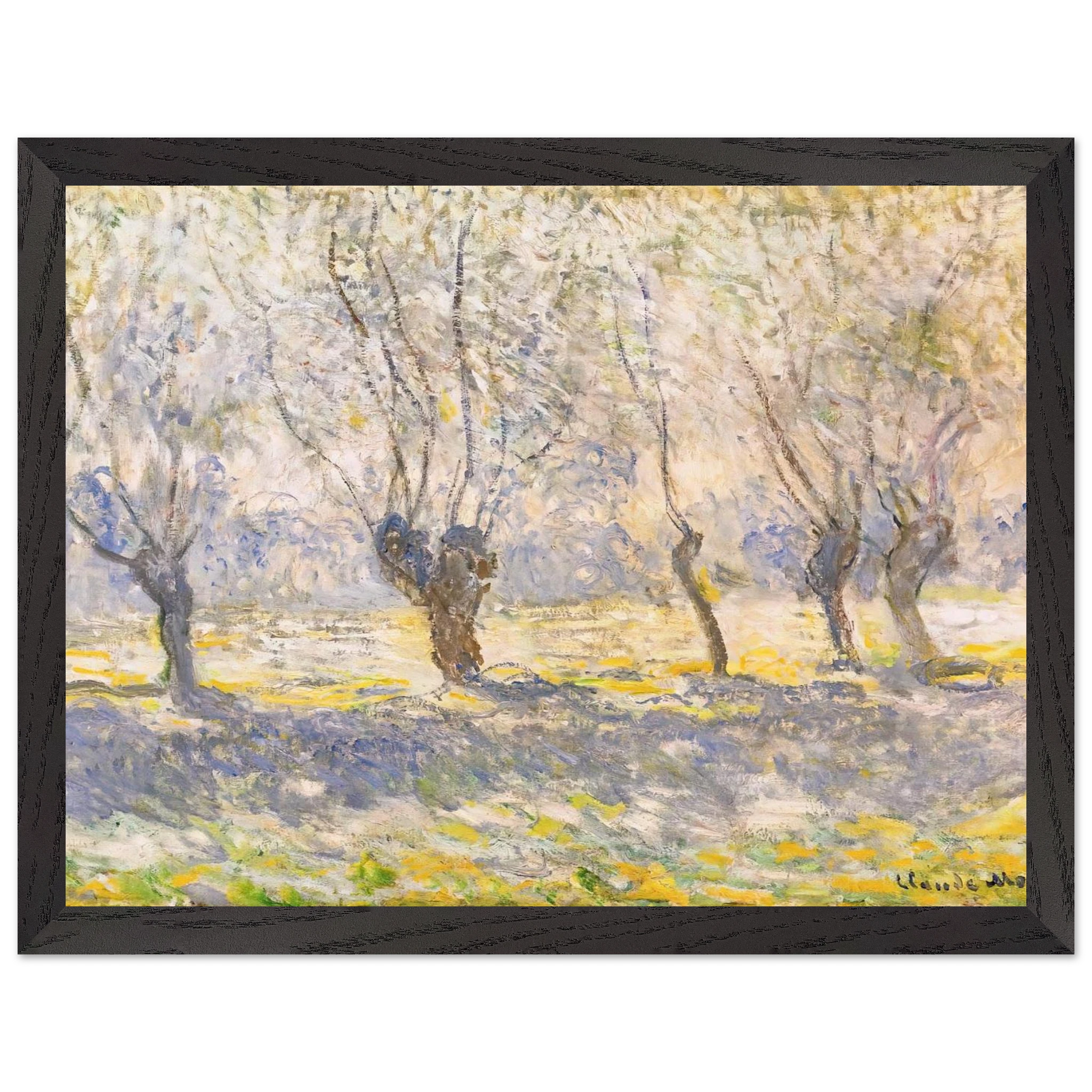 562bb890-eaa4-428b-9e81-517c1c9a4d2d