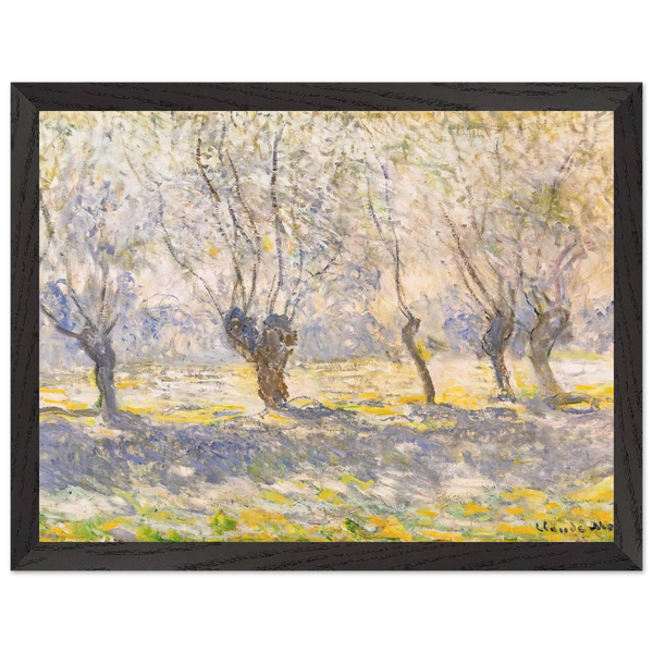 562bb890-eaa4-428b-9e81-517c1c9a4d2d