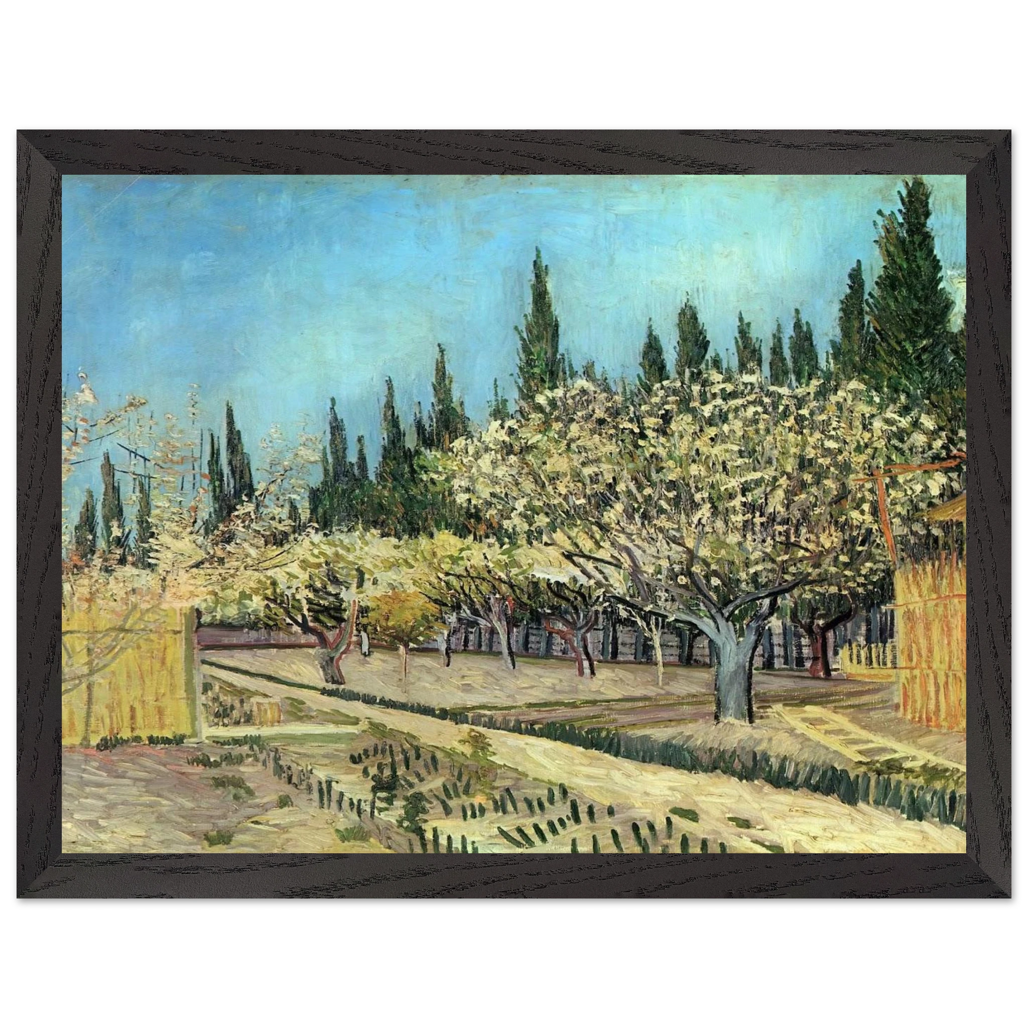 580ba50a-5bd9-402c-8cc6-3e549ecfc25b