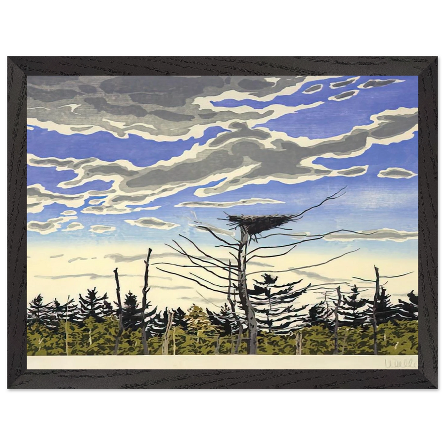 Osprey’s Nest - 1980 by Neil Welliver — Framed art print at Zephyeer