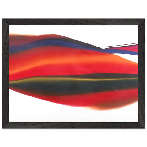 Phenomena Lands End - 1974 by Paul Jenkins — Framed art print at Zephyeer