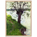 WILLOW ON THE BANKS OF THE SEINE by Gustave Caillebotte — Framed art print at Zephyeer