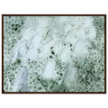 5b66d564-a458-44d9-a299-bb6696ff9cb2