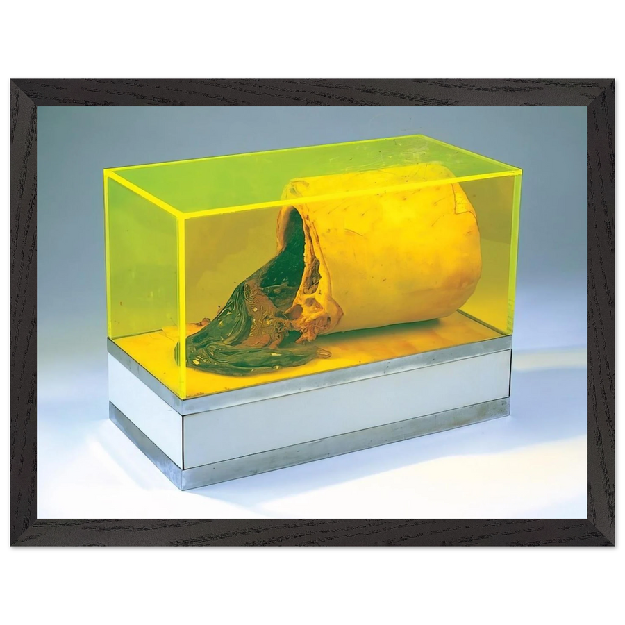Untitled - 1966 by Paul Thek — Framed art print at Zephyeer