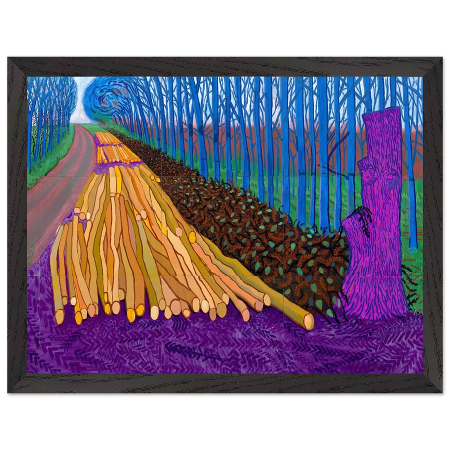 David Hockney — Framed art print at Zephyeer