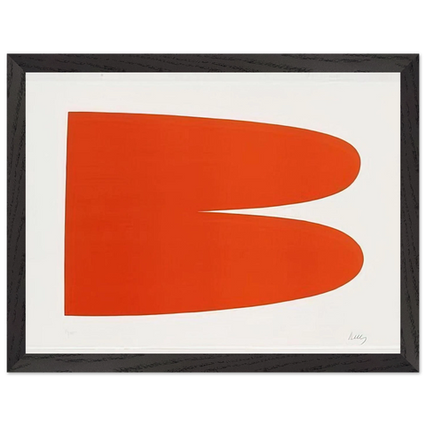 Red-Orange from the Suite of Twenty-Seven Color Lithographs by Ellsworth Kelly — Framed art print at Zephyeer
