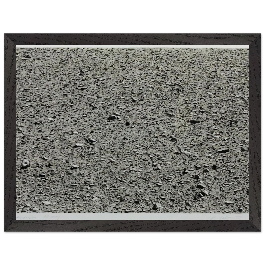 DESERT 1975 by Vija Celmins — Framed art print at Zephyeer