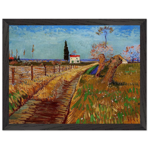 Path Through a Field with Willows by Vincent van Gogh — Framed art print at Zephyeer