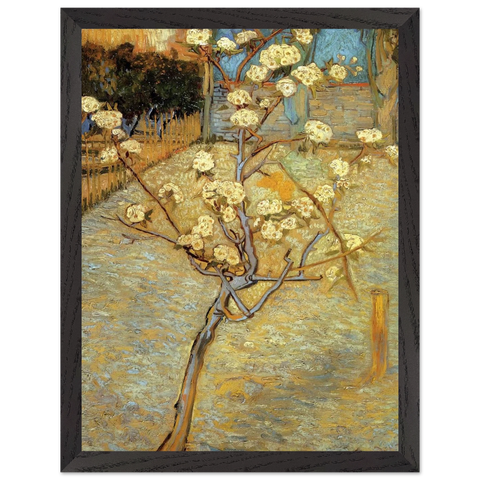 Pear Tree in Blossom by Vincent van Gogh — Framed art print at Zephyeer