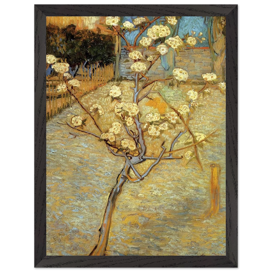 Pear Tree in Blossom by Vincent van Gogh — Framed art print at Zephyeer